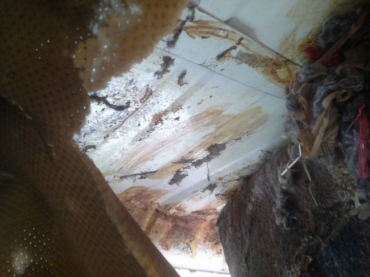 ขายหัวสิบล้อ จ้าวอินทรี ขายหัวสิบล้อ จ้าวอินทรี