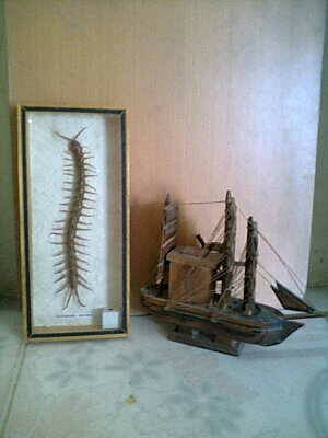 งานสะสมหรือโชว์