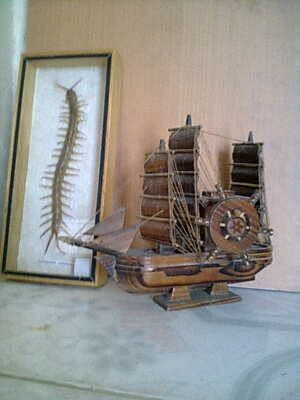 งานสะสมหรือโชว์