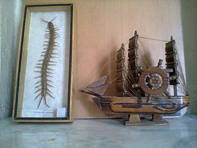 งานสะสมหรือโชว์