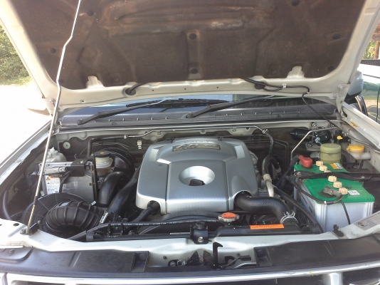 dmax slx platinum dmax slx platinum