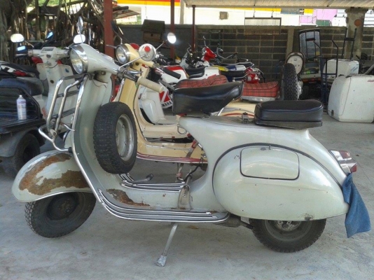 64อิตาลีแท้โอนขนส่ง ชื่อผมเอง