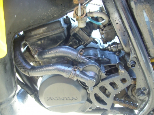 ขาย honda mtx125 สวยๆๆมีทะเบียน 26000บ. ขาย honda mtx125 สวยๆๆมีทะเบียน 26000บ.