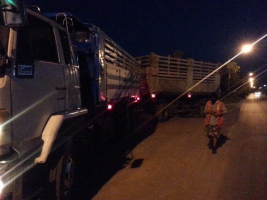 ขอบคุณทนาย ชาติ เสี่ยไร่ อ้อย มาจัดตัวแม่ร็อกกี้ไป มาเอาลูก 3 มิตรไปใช้งานเพิ่ม อีกครับ