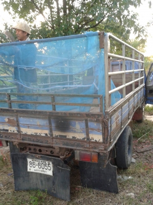 ขายรถบรรทุก 6 ล้อ ISUZU  NPR เฟืองท้ายเอฟ