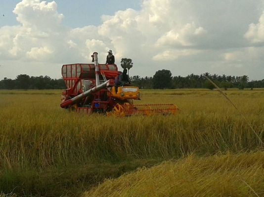 ขายรถเกี่ยวข้าว สภาพสวย ใช้งานดีมาก สนใจโทร 090-8588220คุณนะ ID:narong498 หรือ www.truck.in.th/498 หรือfb:ณรงค์ ซื้อขายรถมือสอง(เว็บไซต์ส่วนตัว) ขายรถเกี่ยวข้าว สภาพสวย ใช้งานดีมาก สนใจโทร 090-8588220คุณนะ ID:narong498 หรือ www.truck.in.th/498 หรือfb:ณรงค์ ซื้อขายรถมือสอง(เว็บไซต์ส่วนตัว)