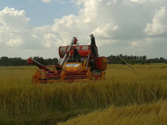 ขายรถเกี่ยวข้าว สภาพสวย ใช้งานดีมาก สนใจโทร 090-8588220คุณนะ ID:narong498 หรือ www.truck.in.th/498 หรือfb:ณรงค์ ซื้อขายรถมือสอง(เว็บไซต์ส่วนตัว) ขายรถเกี่ยวข้าว สภาพสวย ใช้งานดีมาก สนใจโทร 090-8588220คุณนะ ID:narong498 หรือ www.truck.in.th/498 หรือfb:ณรงค์ ซื้อขายรถมือสอง(เว็บไซต์ส่วนตัว)