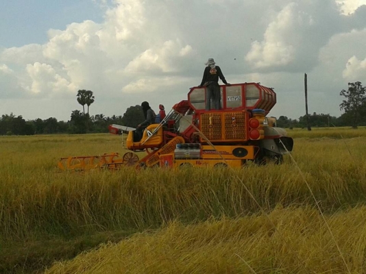 ขายรถเกี่ยวข้าว สภาพสวย ใช้งานดีมาก สนใจโทร 090-8588220คุณนะ ID:narong498 หรือ www.truck.in.th/498 หรือfb:ณรงค์ ซื้อขายรถมือสอง(เว็บไซต์ส่วนตัว) ขายรถเกี่ยวข้าว สภาพสวย ใช้งานดีมาก สนใจโทร 090-8588220คุณนะ ID:narong498 หรือ www.truck.in.th/498 หรือfb:ณรงค์ ซื้อขายรถมือสอง(เว็บไซต์ส่วนตัว)