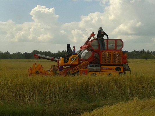 ขายรถเกี่ยวข้าว สภาพสวย ใช้งานดีมาก สนใจโทร 090-8588220คุณนะ ID:narong498 หรือ www.truck.in.th/498 หรือfb:ณรงค์ ซื้อขายรถมือสอง(เว็บไซต์ส่วนตัว) ขายรถเกี่ยวข้าว สภาพสวย ใช้งานดีมาก สนใจโทร 090-8588220คุณนะ ID:narong498 หรือ www.truck.in.th/498 หรือfb:ณรงค์ ซื้อขายรถมือสอง(เว็บไซต์ส่วนตัว)