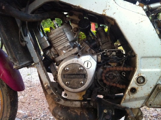 ขายเซอร์ปีโก้ ทะเบียนโอน ราคา 7500 บาท ขายเซอร์ปีโก้ ทะเบียนโอน ราคา 7500 บาท