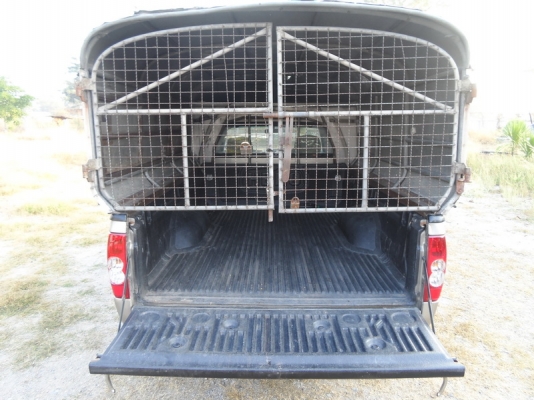 CHEVROLET 2.5 SINGLE CAB