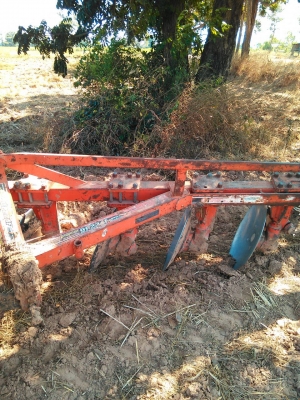 ผาน 4ตราช้าง