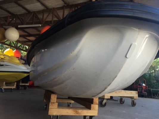 ปลาโอ 3ลำ