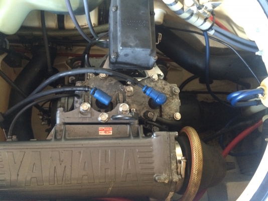 ปลาโอ 3ลำ