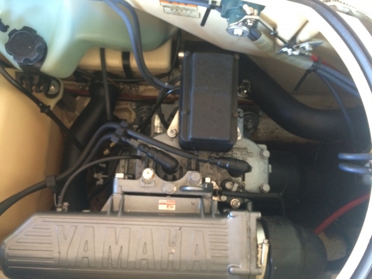 ปลาโอ 3ลำ