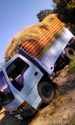 ต้องการขายครับ  NKR 88  6ล้อเล็ก ภาษีไม่ขาดต่อ พร้อมโอน