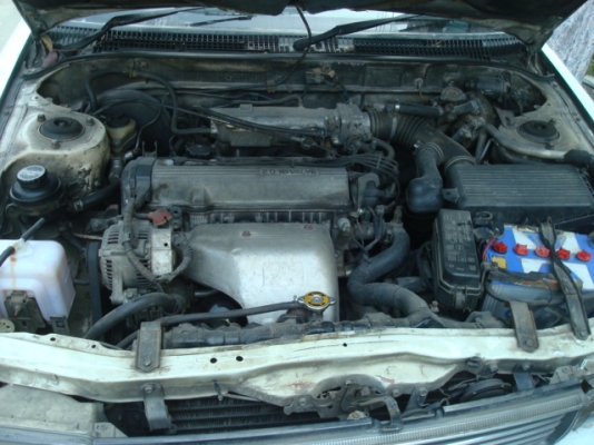 ขายด่วน19000