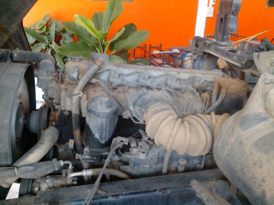 ขาย 6 ล้อดั้ม ฟูโซ  195 แรง  6d16 พร้อมใช้งาน