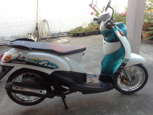 ขายยามาฮ่าฟีโน่พร้อมใช้งาน ขายยามาฮ่าฟีโน่พร้อมใช้งาน