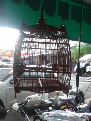 กรงนกหัวจุก