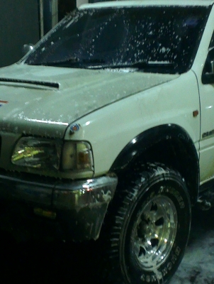 คามิโอ หน้าหนู หายาก ยกสุง แต่งสวย ไม่ต้องกลัวฝน