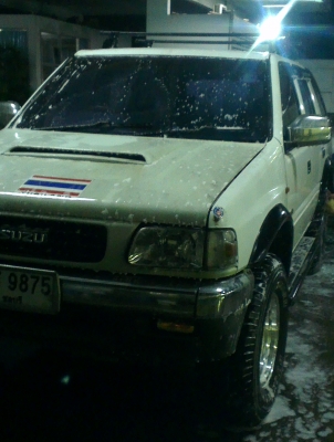 คามิโอ หน้าหนู หายาก ยกสุง แต่งสวย ไม่ต้องกลัวฝน