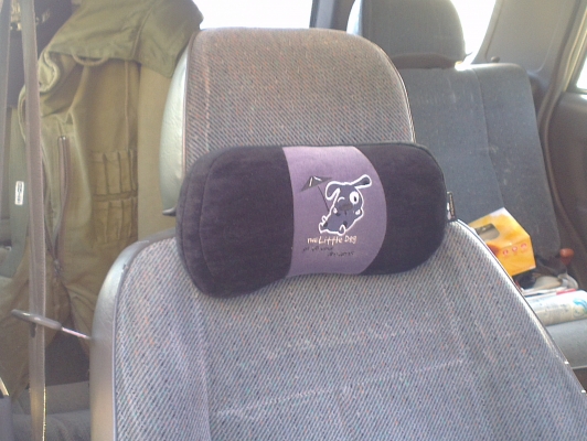 คามิโอ หน้าหนู หายาก ยกสุง แต่งสวย ไม่ต้องกลัวฝน