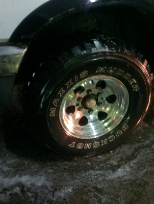 คามิโอ หน้าหนู หายาก ยกสุง แต่งสวย ไม่ต้องกลัวฝน