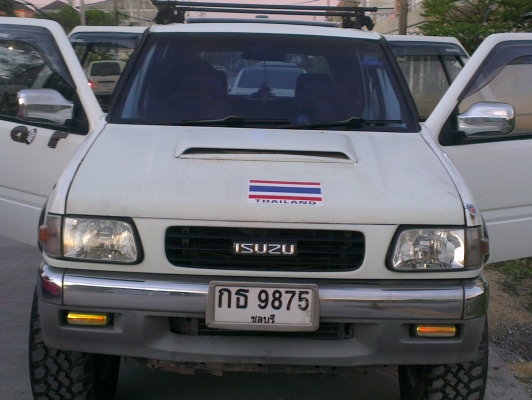 คามิโอ หน้าหนู หายาก ยกสุง แต่งสวย ไม่ต้องกลัวฝน