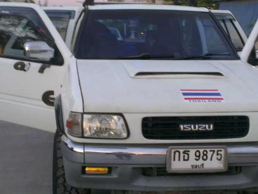 คามิโอ หน้าหนู หายาก ยกสุง แต่งสวย ไม่ต้องกลัวฝน