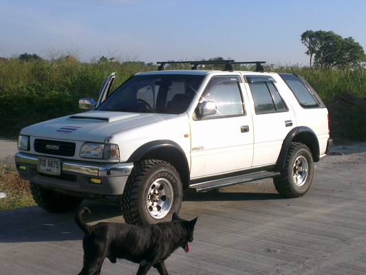 คามิโอ หน้าหนู หายาก ยกสุง แต่งสวย ไม่ต้องกลัวฝน