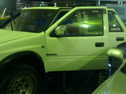 คามิโอ หน้าหนู หายาก ยกสุง แต่งสวย ไม่ต้องกลัวฝน