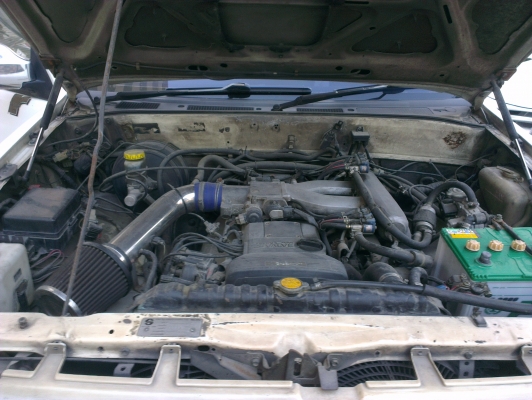 คามิโอ หน้าหนู หายาก ยกสุง แต่งสวย ไม่ต้องกลัวฝน