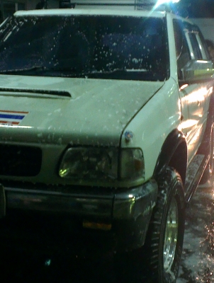 คามิโอ หน้าหนู หายาก ยกสุง แต่งสวย ไม่ต้องกลัวฝน