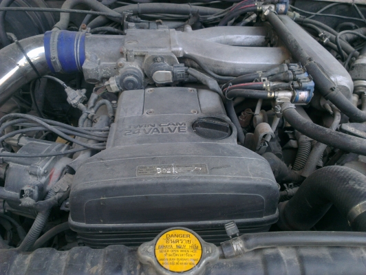 คามิโอ หน้าหนู หายาก ยกสุง แต่งสวย ไม่ต้องกลัวฝน