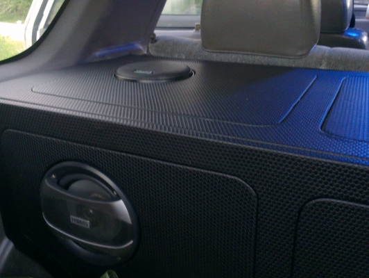 คามิโอ หน้าหนู หายาก ยกสุง แต่งสวย ไม่ต้องกลัวฝน