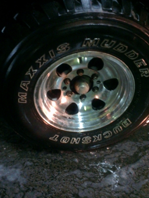 คามิโอ หน้าหนู หายาก ยกสุง แต่งสวย ไม่ต้องกลัวฝน