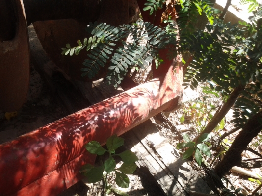 ขายตามสภาพพาน6ของLCSรุ่นเกาใบ20ซ.มติดรถไถคูโบต้า34แรง ขายตามสภาพพาน6ของLCSรุ่นเกาใบ20ซ.มติดรถไถคูโบต้า34แรง