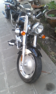 ขายdorado250cc
