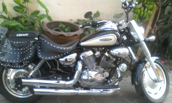 ขายdorado250cc