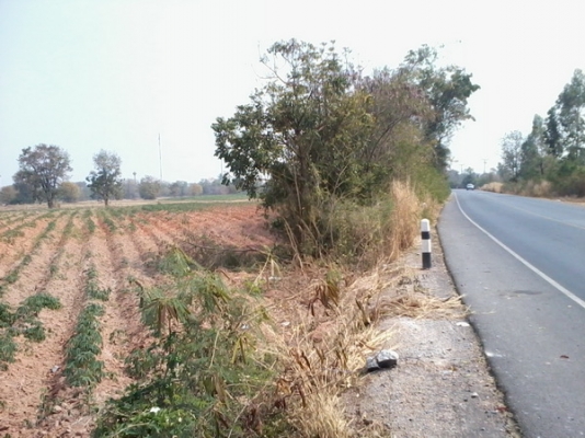 ขายด่วนที่ดินใกล้ทางหลวง  51- 3 -77 ไร่  ติดทางสาธารณะ ราคา 450,000 บาทต่อไร่ (อ.สีคิ้ว)