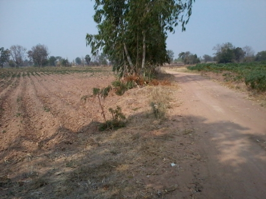 ขายด่วนที่ดินใกล้ทางหลวง  51- 3 -77 ไร่  ติดทางสาธารณะ ราคา 450,000 บาทต่อไร่ (อ.สีคิ้ว)