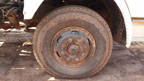 ขายหางปลา