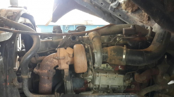 ขายหางปลา