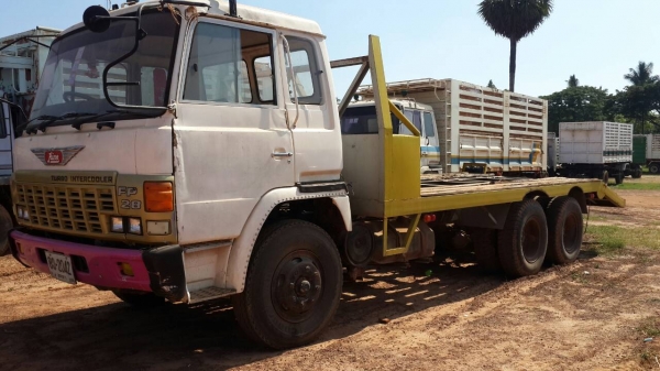 ขายหางปลา