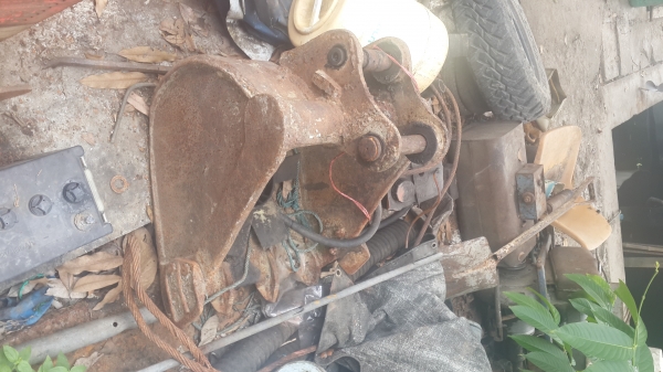 ขายบุ้งกี๋   2ลูก  pc30 กับ pc120