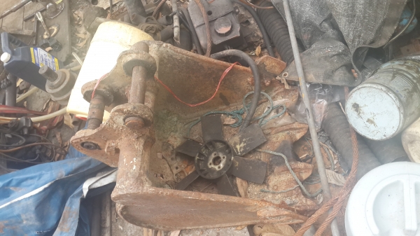 ขายบุ้งกี๋   2ลูก  pc30 กับ pc120