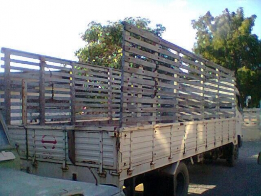 ขาย  HIno Fc4J 150แรง 6 ล้อ คอกเกษตร  ปี46