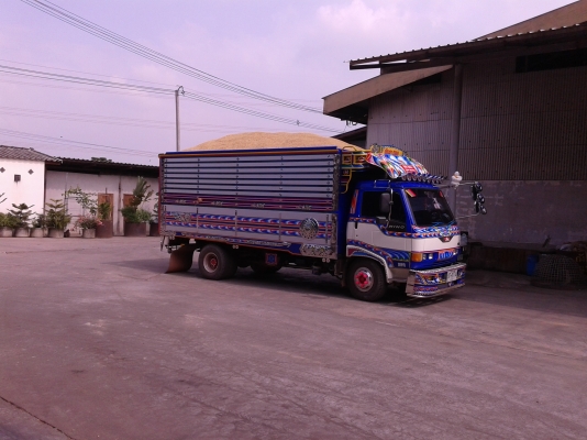 ขายFB120แรง ซุปเปอร์เสี่ย ดั้มเกษตร สวยโดนใจวัยรุ่น ยาว5ม.12เกวียน ขายFB120แรง ซุปเปอร์เสี่ย ดั้มเกษตร สวยโดนใจวัยรุ่น ยาว5ม.12เกวียน