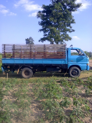 ขาย isuzu tl